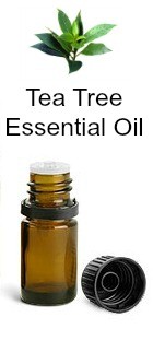Tea Tree Essential Oil